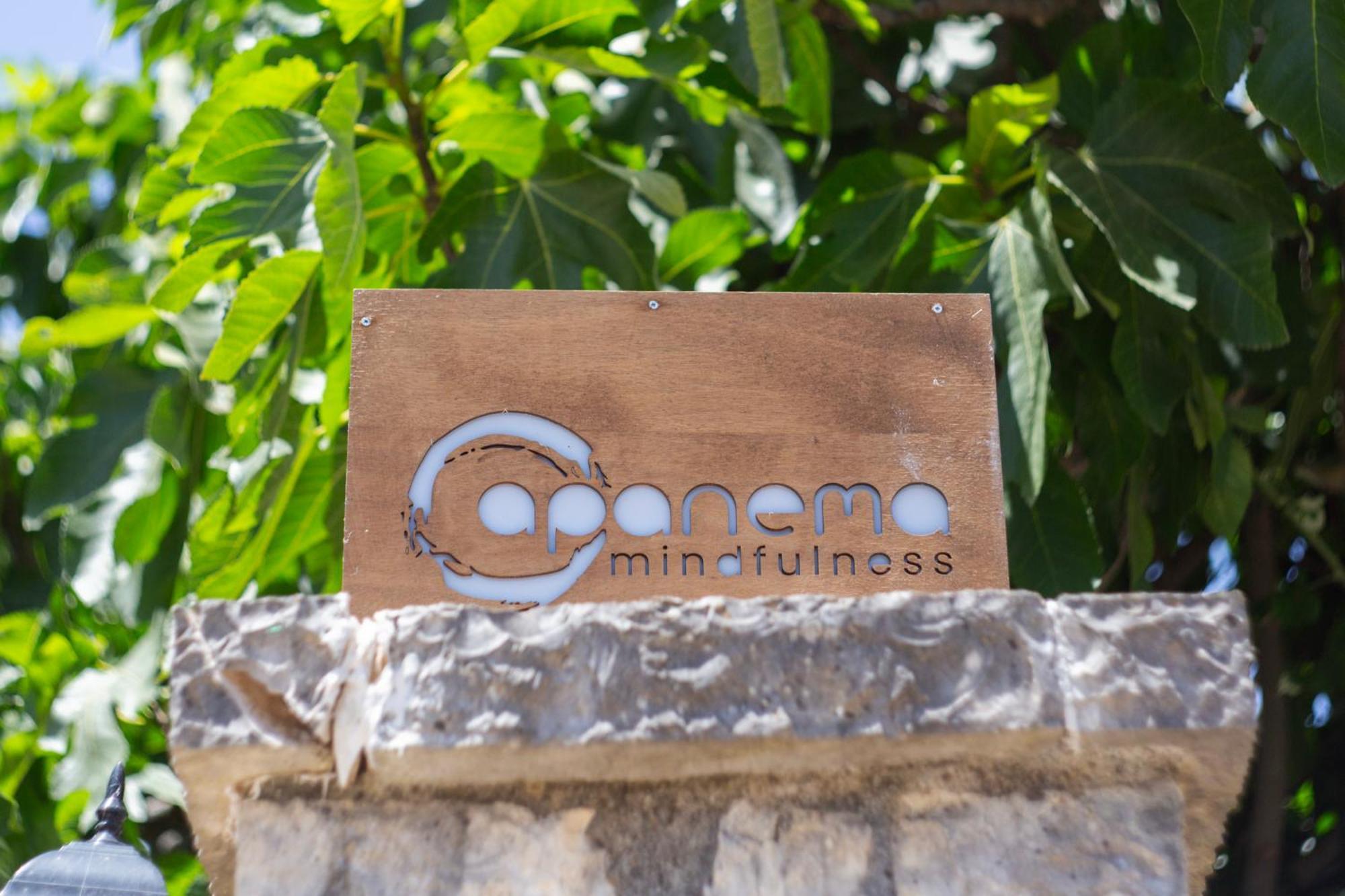 Apanema Mindfulness Resort Lefkada Ασπρογερακάτα Εξωτερικό φωτογραφία